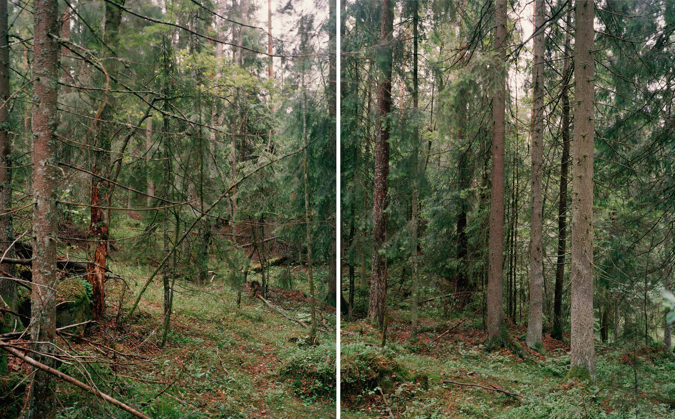 Fabio Barile, Oslo Follo Line High-Speed Railway Project, 2019, conceived for Ghella